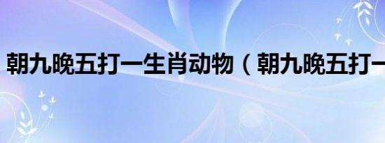 朝九晚五打一生肖动物（朝九晚五打一生肖）