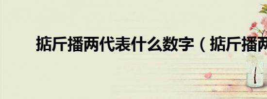 掂斤播两代表什么数字（掂斤播两）