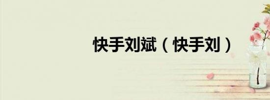 快手刘斌（快手刘）