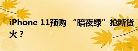 iPhone 11预购 “暗夜绿”抢断货！真这么火？