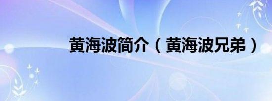 黄海波简介（黄海波兄弟）