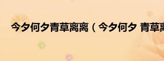 今夕何夕青草离离（今夕何夕 青草离离）