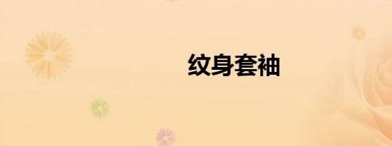 纹身套袖
