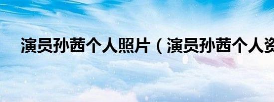 演员孙茜个人照片（演员孙茜个人资料）