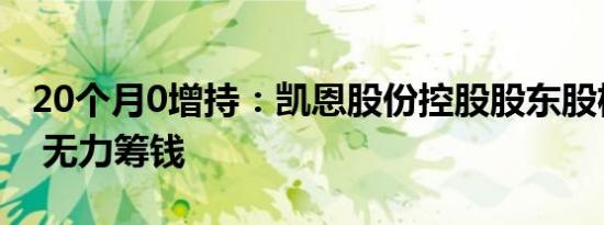 20个月0增持：凯恩股份控股股东股权被冻结 无力筹钱