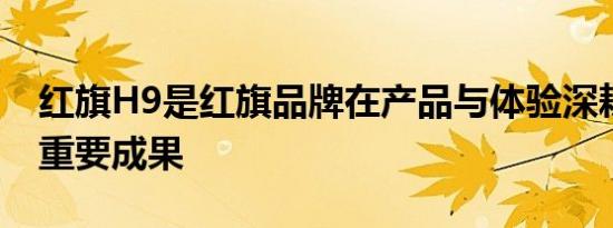 红旗H9是红旗品牌在产品与体验深耕的又一重要成果