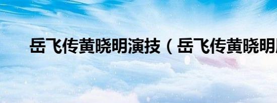 岳飞传黄晓明演技（岳飞传黄晓明版）