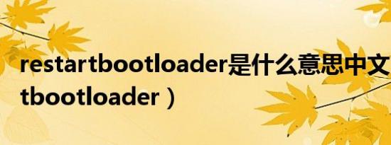 restartbootloader是什么意思中文（restartbootloader）