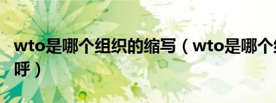 wto是哪个组织的缩写（wto是哪个组织的称呼）