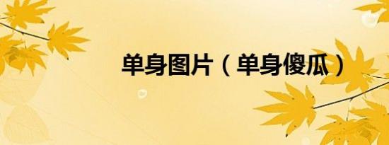 单身图片（单身傻瓜）