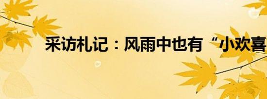 采访札记：风雨中也有“小欢喜”