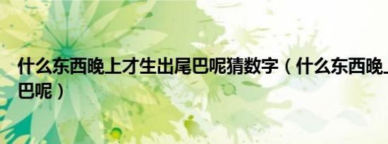 什么东西晚上才生出尾巴呢猜数字（什么东西晚上才生出尾巴呢）