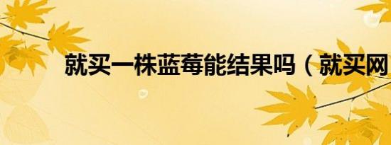 就买一株蓝莓能结果吗（就买网）