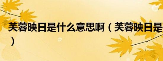 芙蓉映日是什么意思啊（芙蓉映日是什么生肖）
