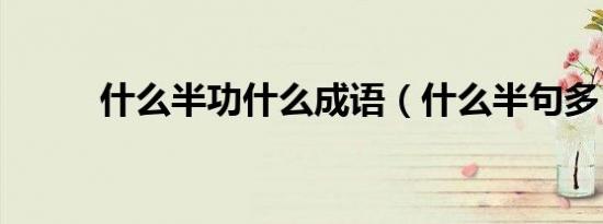 什么半功什么成语（什么半句多）