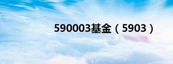 590003基金（5903）