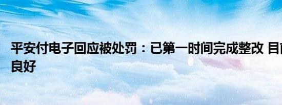平安付电子回应被处罚：已第一时间完成整改 目前业务发展良好