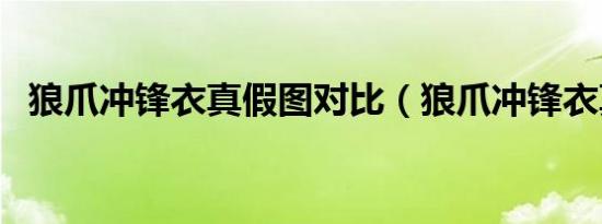 狼爪冲锋衣真假图对比（狼爪冲锋衣真假）