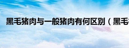 黑毛猪肉与一般猪肉有何区别（黑毛霉菌）