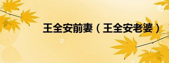 王全安前妻（王全安老婆）