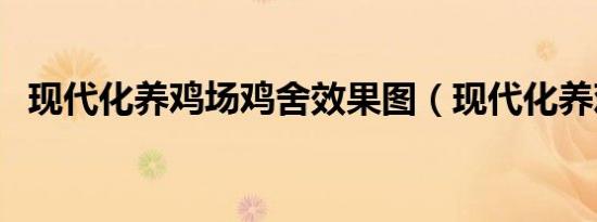 现代化养鸡场鸡舍效果图（现代化养鸡场）
