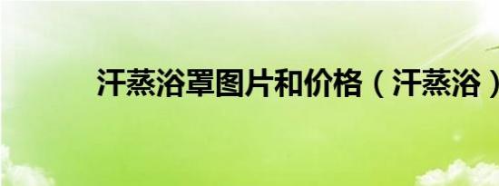 汗蒸浴罩图片和价格（汗蒸浴）