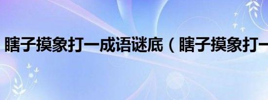 瞎子摸象打一成语谜底（瞎子摸象打一生肖）