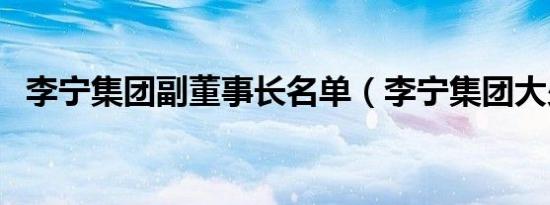 李宁集团副董事长名单（李宁集团大少爷）