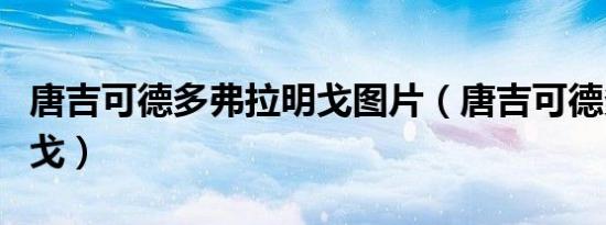 唐吉可德多弗拉明戈图片（唐吉可德多弗拉明戈）