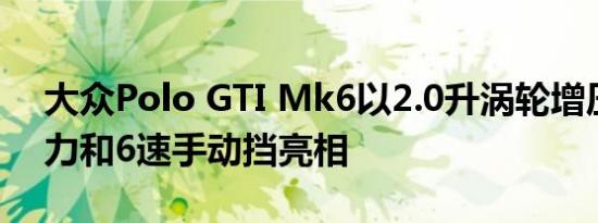 大众Polo GTI Mk6以2.0升涡轮增压197马力和6速手动挡亮相