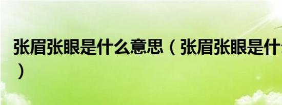 张眉张眼是什么意思（张眉张眼是什么意思啊）