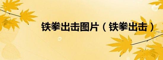 铁拳出击图片（铁拳出击）