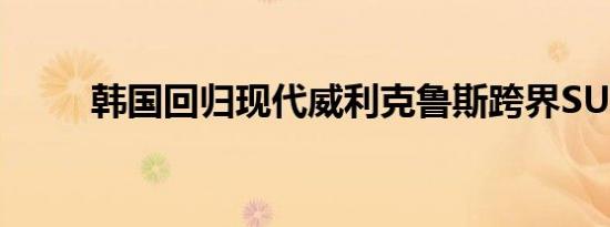 韩国回归现代威利克鲁斯跨界SUV