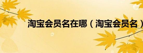 淘宝会员名在哪（淘宝会员名）