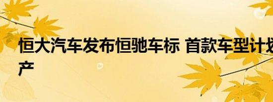 恒大汽车发布恒驰车标 首款车型计划明年量产