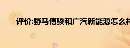 评价:野马博骏和广汽新能源怎么样？