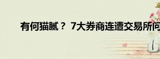 有何猫腻？ 7大券商连遭交易所问询