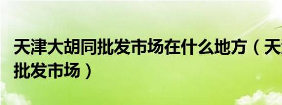 天津大胡同批发市场在什么地方（天津大胡同批发市场）