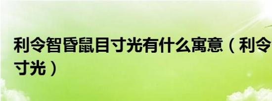 利令智昏鼠目寸光有什么寓意（利令智昏鼠目寸光）