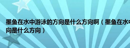 墨鱼在水中游泳的方向是什么方向啊（墨鱼在水中游泳的方向是什么方向）