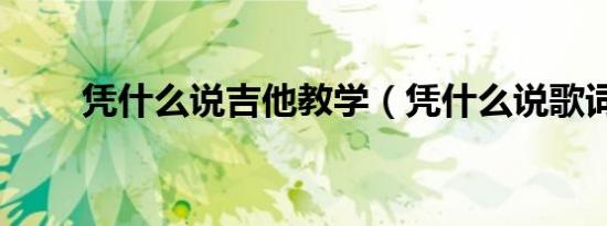 凭什么说吉他教学（凭什么说歌词）