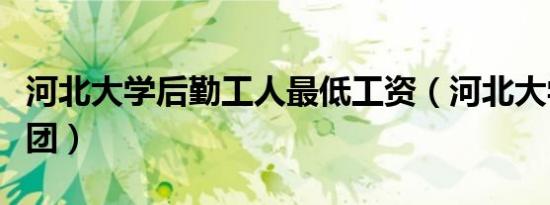河北大学后勤工人最低工资（河北大学后勤集团）