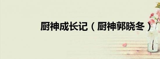 厨神成长记（厨神郭晓冬）