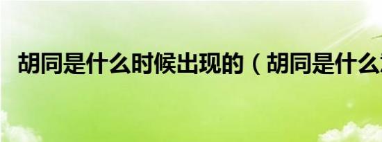 胡同是什么时候出现的（胡同是什么意思）