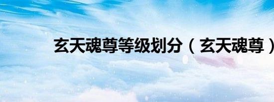玄天魂尊等级划分（玄天魂尊）