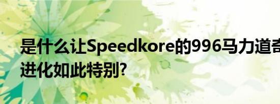 是什么让Speedkore的996马力道奇充电器进化如此特别?
