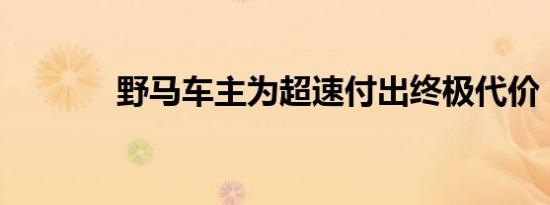 野马车主为超速付出终极代价