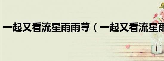 一起又看流星雨雨荨（一起又看流星雨剧组）