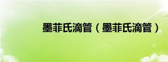 墨菲氏滴管（墨菲氏滴管）
