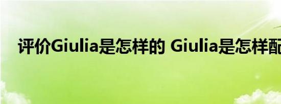 评价Giulia是怎样的 Giulia是怎样配置的